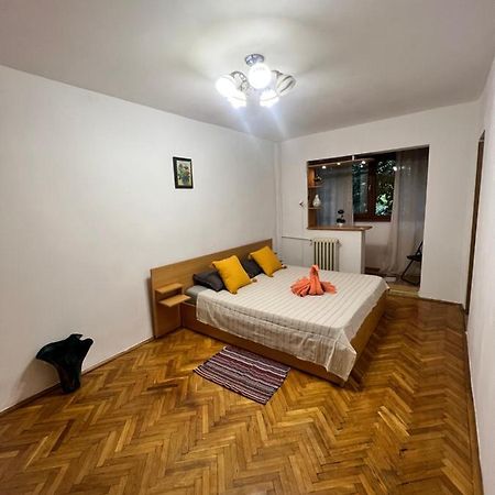 Miha Modern And Central Apartament Malul Muresului 아라드 외부 사진