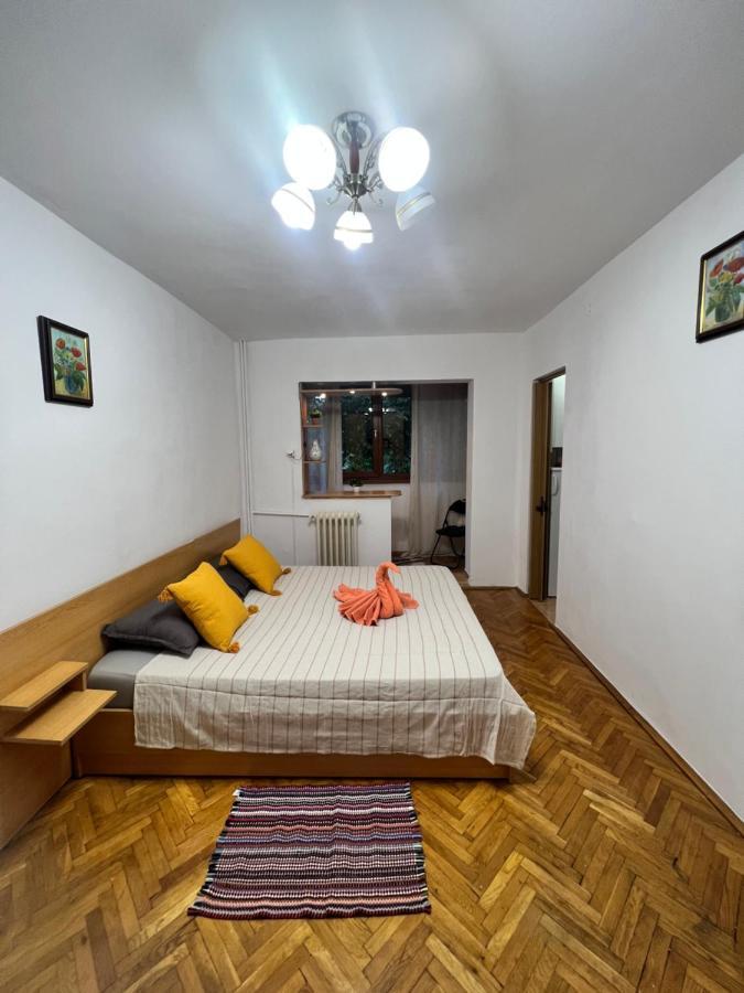 Miha Modern And Central Apartament Malul Muresului 아라드 외부 사진