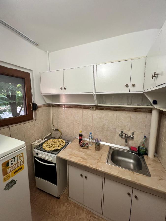 Miha Modern And Central Apartament Malul Muresului 아라드 외부 사진