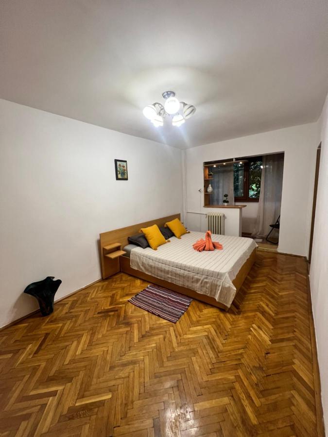 Miha Modern And Central Apartament Malul Muresului 아라드 외부 사진