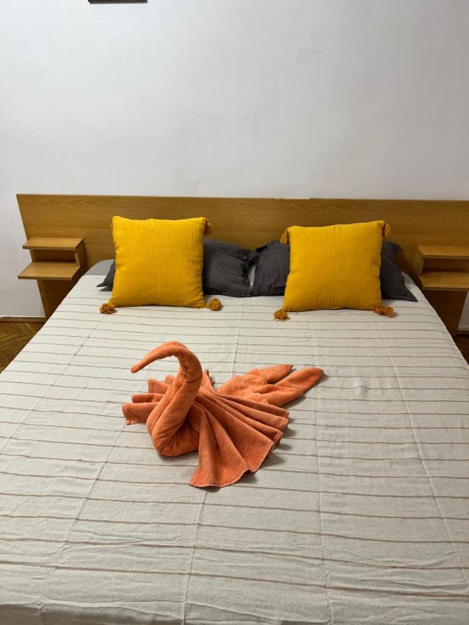 Miha Modern And Central Apartament Malul Muresului 아라드 외부 사진
