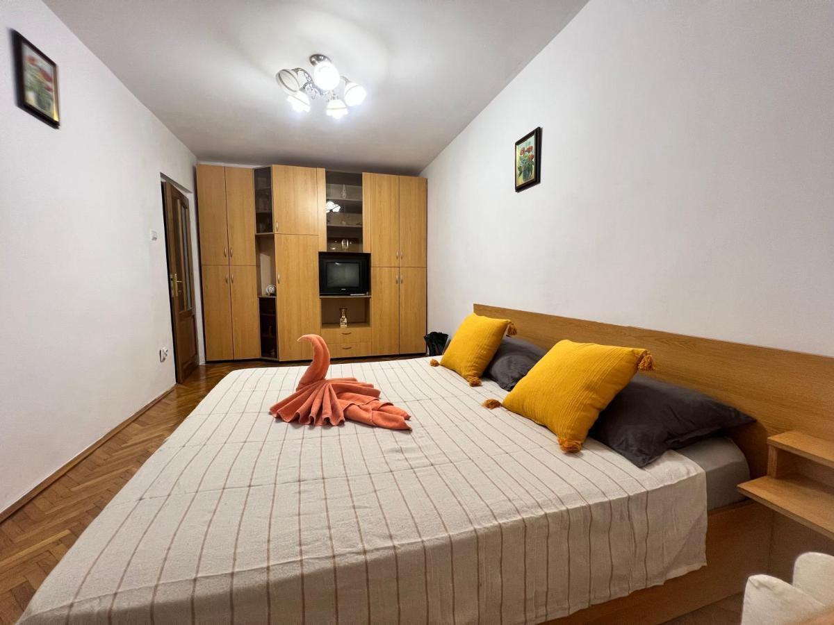 Miha Modern And Central Apartament Malul Muresului 아라드 외부 사진