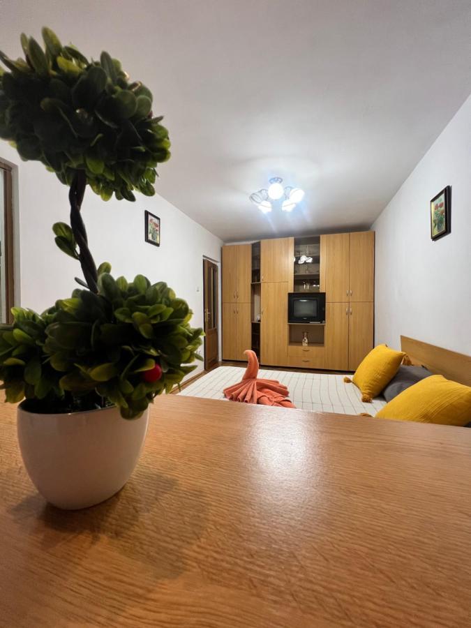 Miha Modern And Central Apartament Malul Muresului 아라드 외부 사진