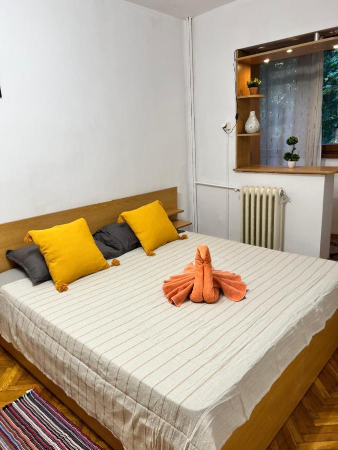 Miha Modern And Central Apartament Malul Muresului 아라드 외부 사진